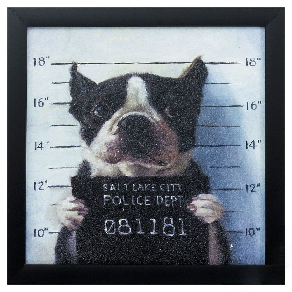 11" X 11" Black Frame Mug Shot