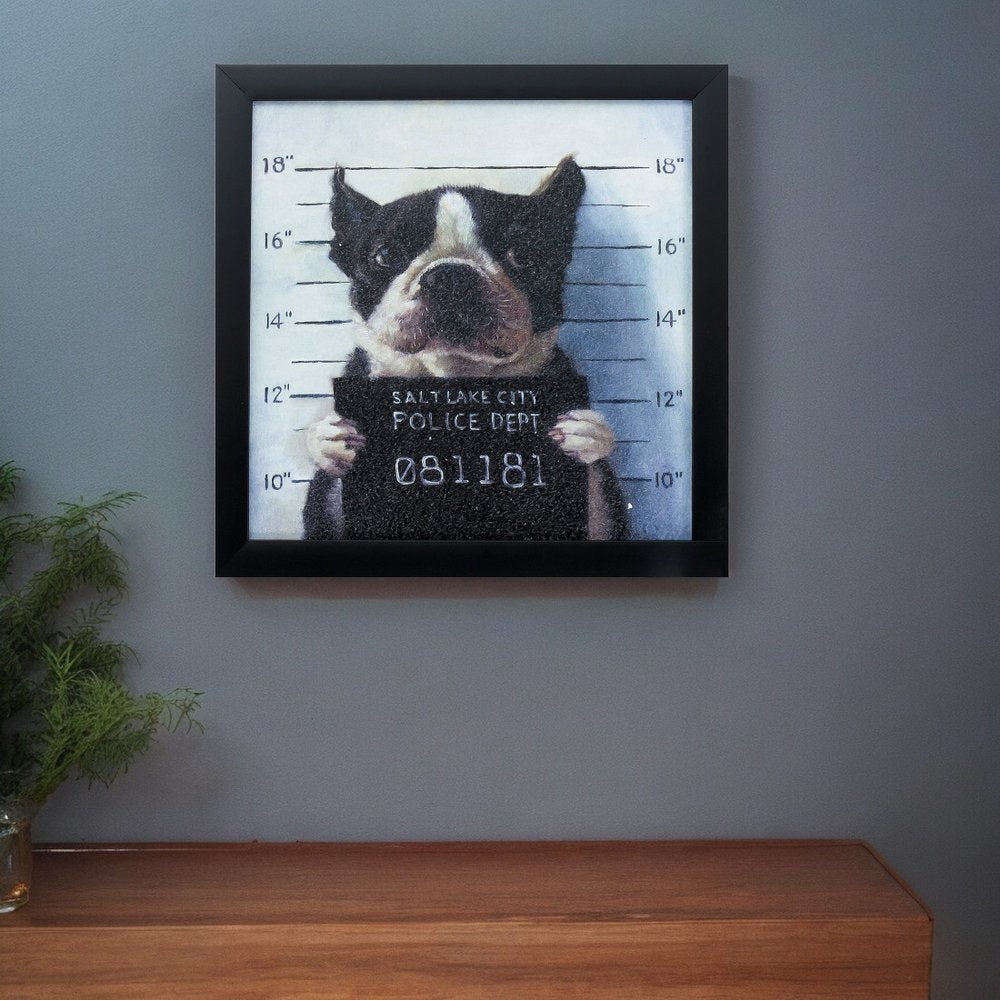 11" X 11" Black Frame Mug Shot