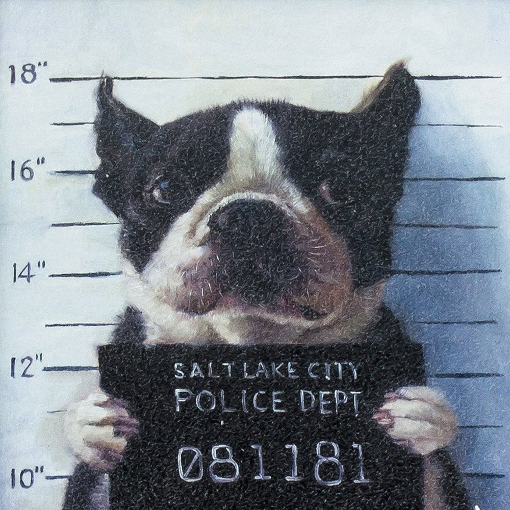 11" X 11" Black Frame Mug Shot