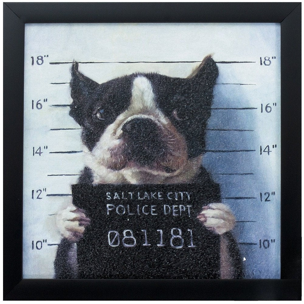 11" X 11" Black Frame Mug Shot