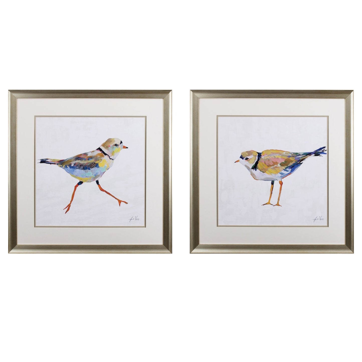 Set of Two Colorful Beach Birds Wall Art
