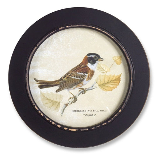 Set of Three Black Bird Circle Framed Art