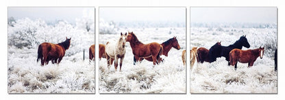 Set of Three White Canvas Square Framed Art