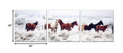 Set of Three White Canvas Square Framed Art