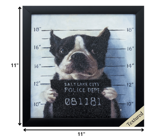 11" X 11" Black Frame Mug Shot