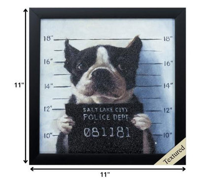 11" X 11" Black Frame Mug Shot