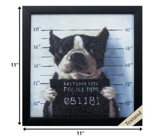 11" X 11" Black Frame Mug Shot