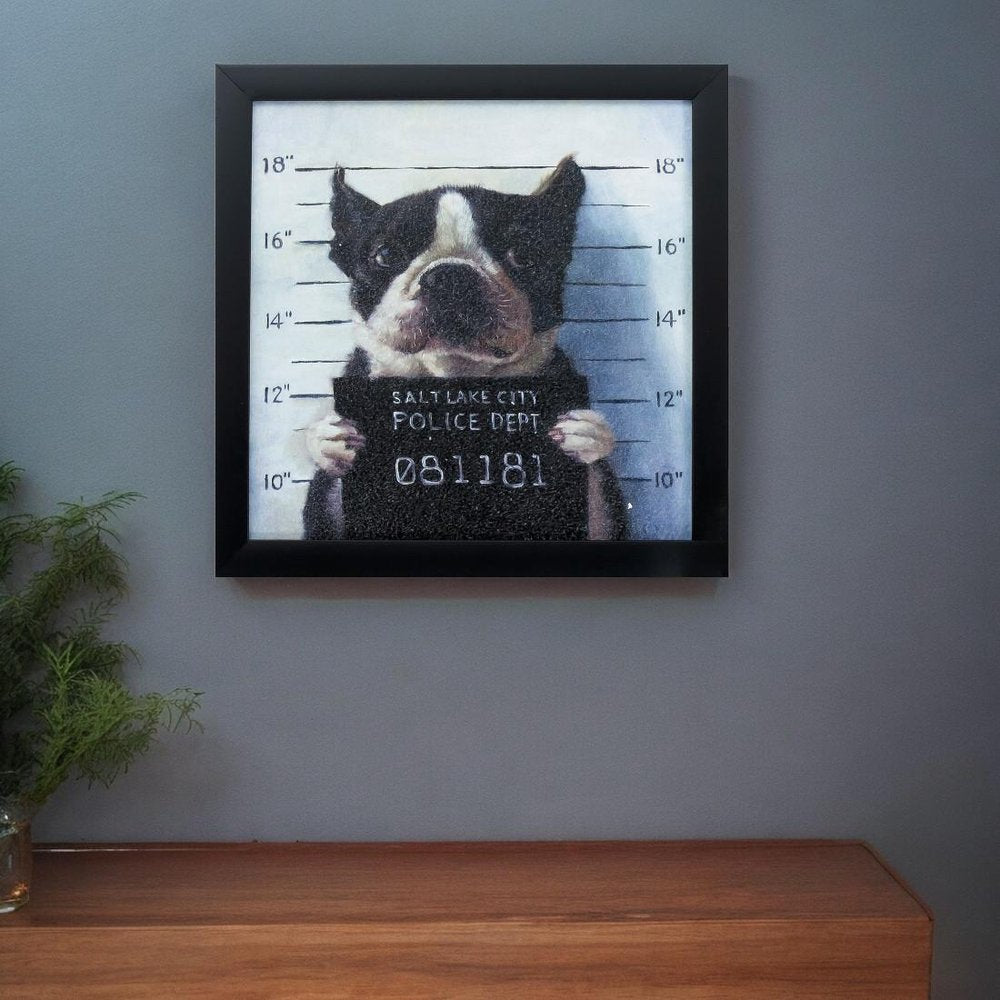 11" X 11" Black Frame Mug Shot