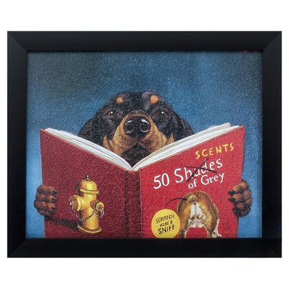 11" X 9" Black Frame 50 Scents Of Gray