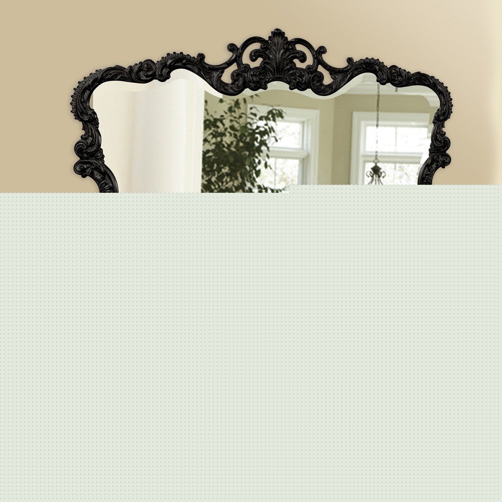27" Black Ornate Scroll Framed Accent Mirror