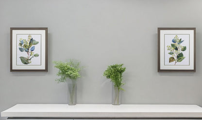 Set Of Two Seeded Eucalyptus Abstract Framed Art
