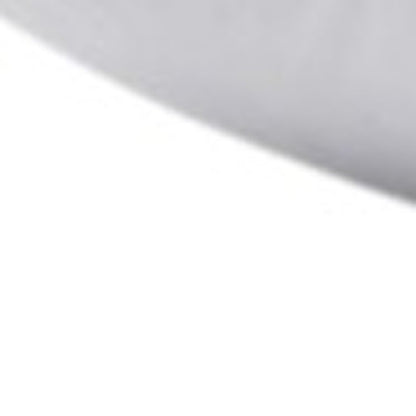 Set of Two Down Alternative Firm Queen Size Bed Pillows