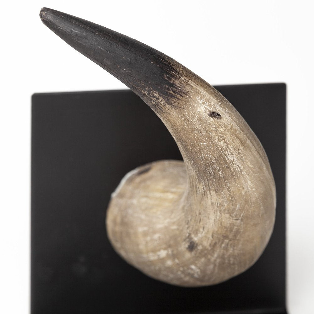 Set of Two Brown And Black Resin And Metal Horn Decorative Bookends