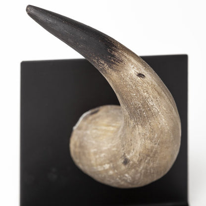 Set of Two Brown And Black Resin And Metal Horn Decorative Bookends