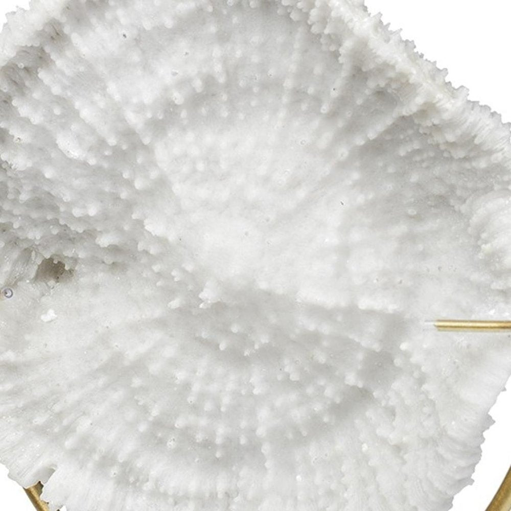 11" White And Gold Resin And Metal Coastal Tabletop Sculpture