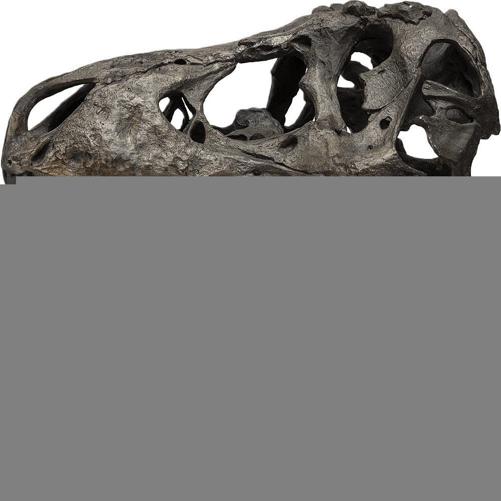 Authentic Replica T Rex Skull Sculpture