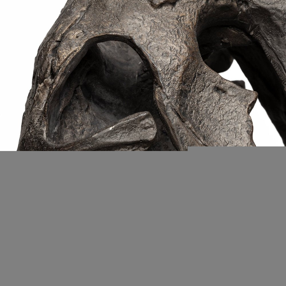 Authentic Replica T Rex Skull Sculpture