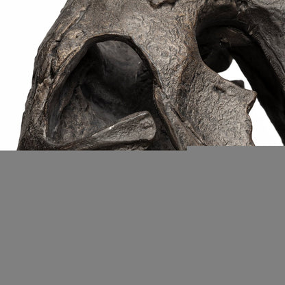 Authentic Replica T Rex Skull Sculpture