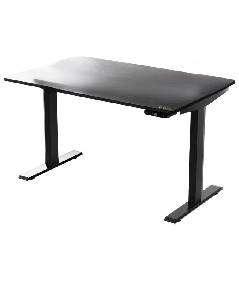 48" Adjustable Black Stainless Steel Standing Desk