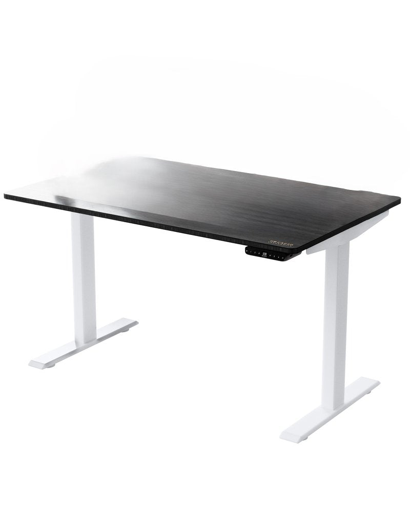 48" Adjustable Black and White Stainless Steel Computer Desk
