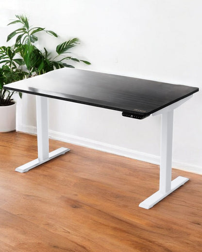 48" Adjustable Black and White Stainless Steel Computer Desk