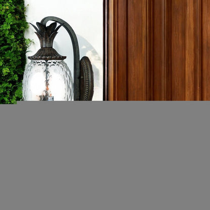 Lanai 3-Light Black Coral Wall Light