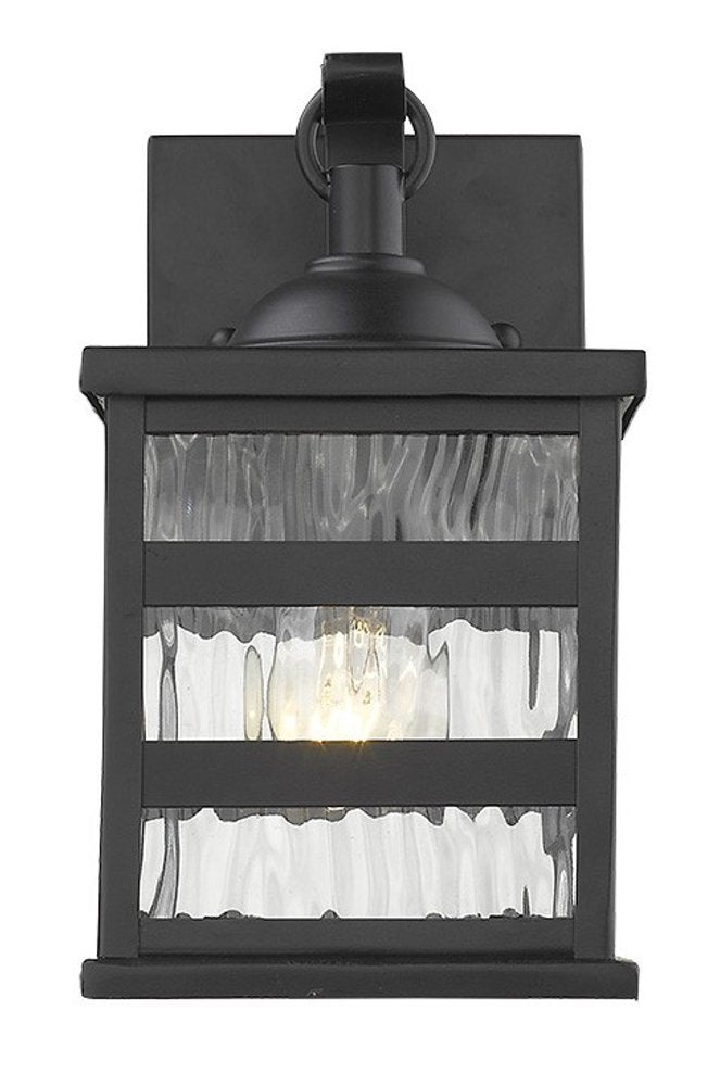 Glass panel Matte Black Outdoor Cage Light