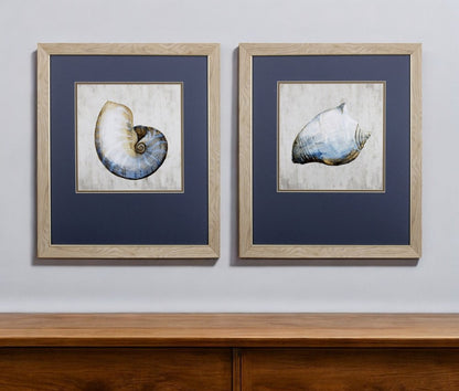Set of Two Ocean Seashells Wall Art