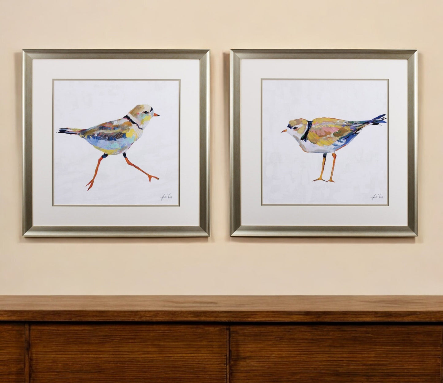 Set of Two Colorful Beach Birds Wall Art