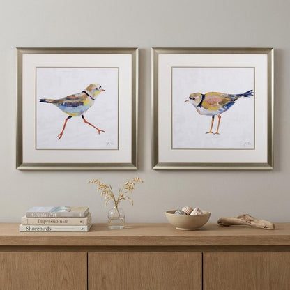 Set of Two Colorful Beach Birds Wall Art