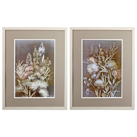 Set of Two Brown Wild Flower Framed Art