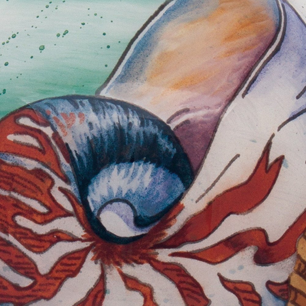 Sea Shell Hand Painted And Mouth Blown Red White And Blue Glass Ball Ornament