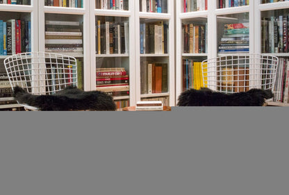 Set Of Two 17" X 17" Black Wool Chair Pads