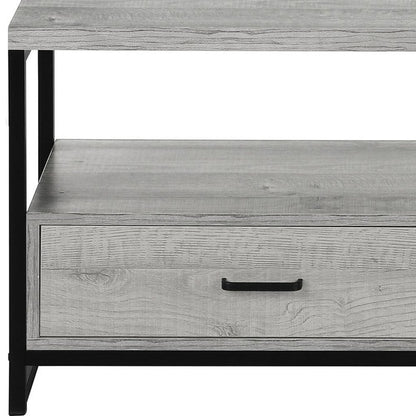 47" Gray Cabinet Enclosed Storage TV Stand