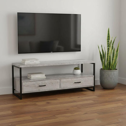 47" Gray Cabinet Enclosed Storage TV Stand
