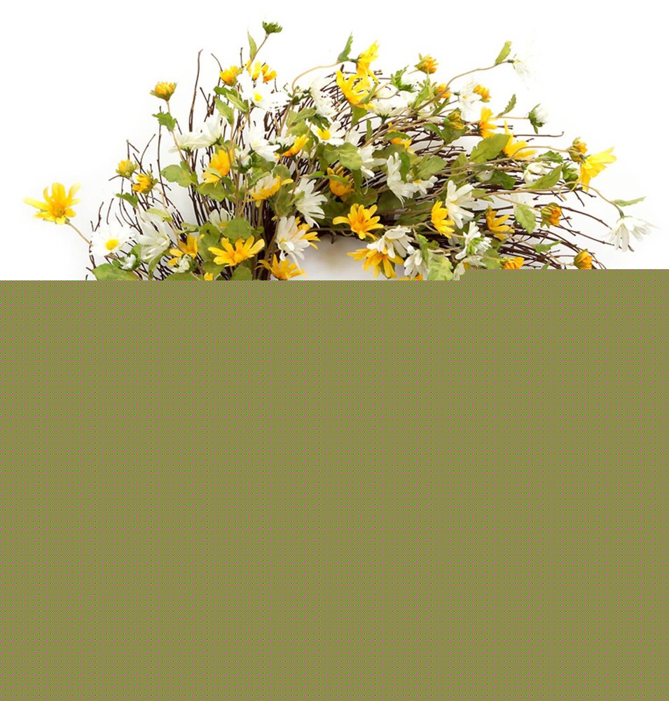 24" Green White And Yellow Spring Daisy Artificial Wreath