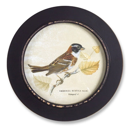 Set of Three Black Bird Circle Framed Art