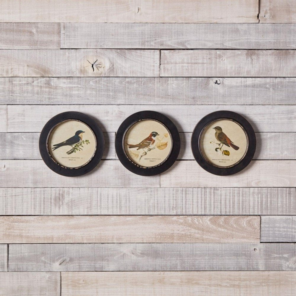 Set of Three Black Bird Circle Framed Art