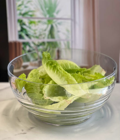 10" Clear Acrylic Round Salad Bowl