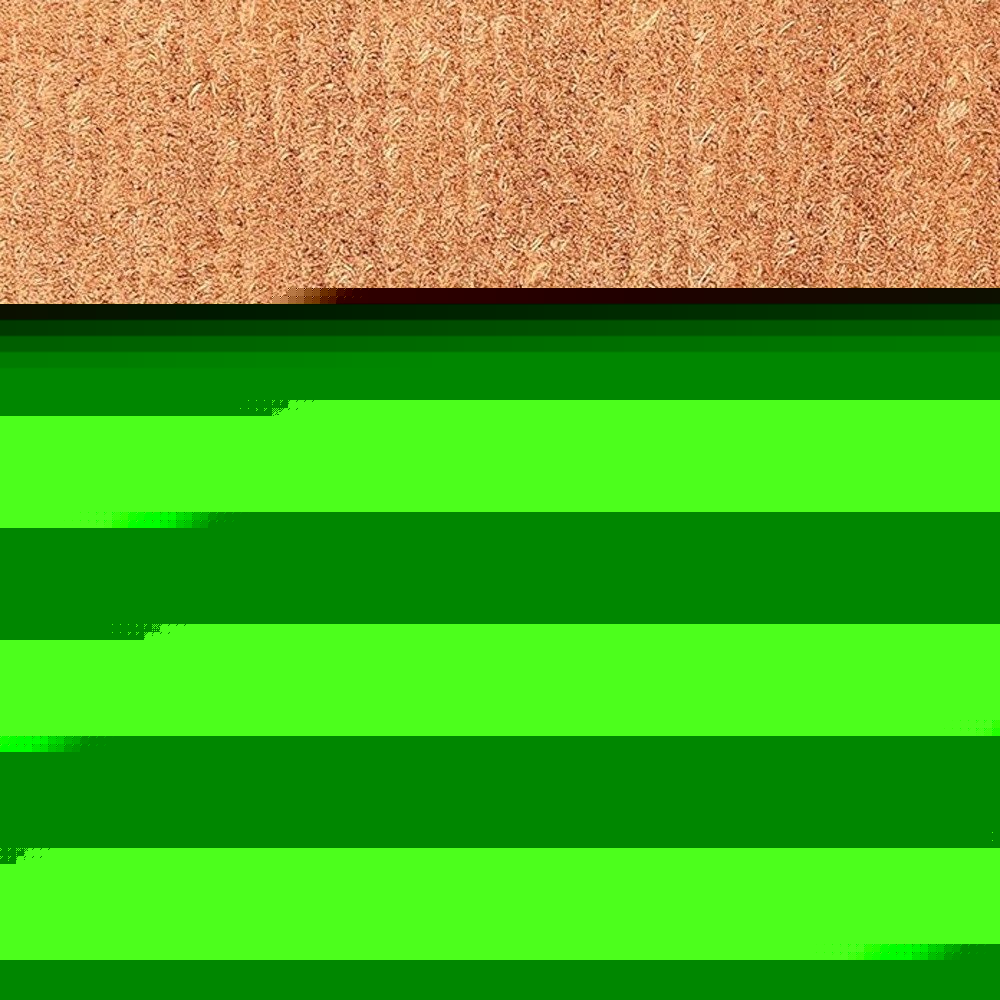 30" X 48" Natural and Black Coir Welcome Outdoor Door Mat