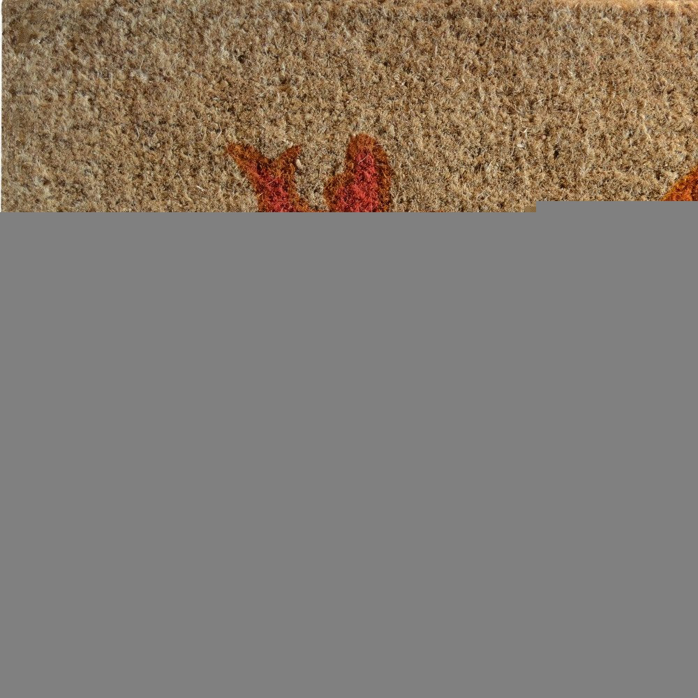 18" X 30" Beige and Black Coir Bird Welcome Outdoor Door Mat