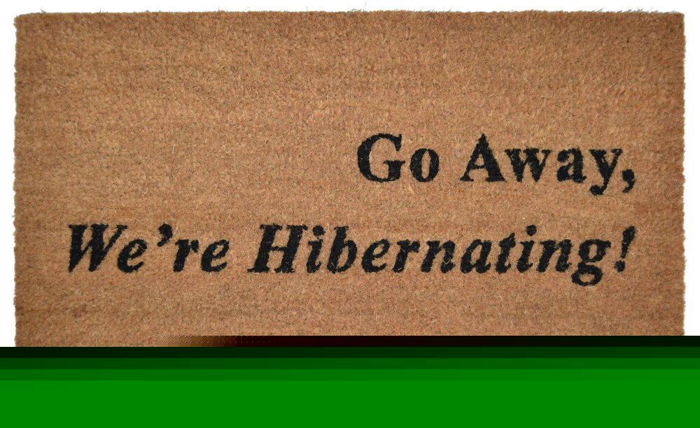 18" X 30" Brown and Black Coir Go Away We Are Hibernating Outdoor Door Mat