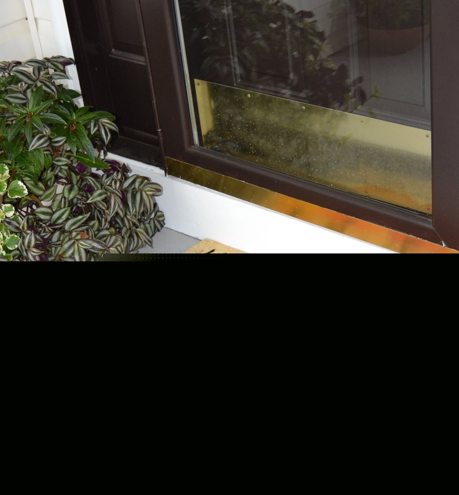 18" X 30" Beige and Orange Coir Pumpkins and Leaves Outdoor Thanksgiving Door Mat