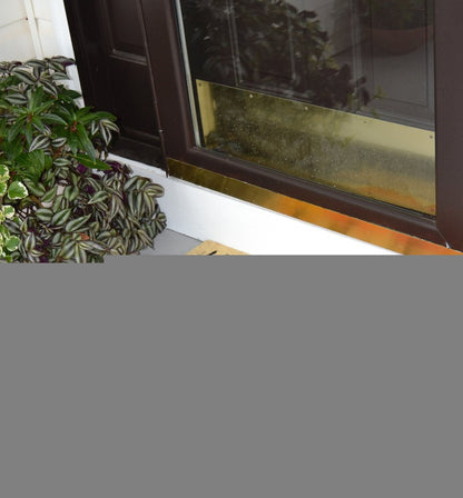 18" X 30" Beige and Orange Coir Pumpkins and Leaves Outdoor Thanksgiving Door Mat