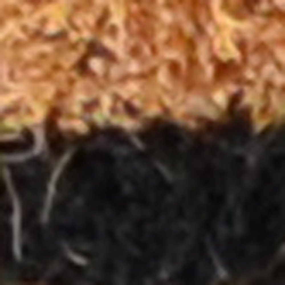 20" X 30" Brown and Black Coir Animal Print Outdoor Door Mat