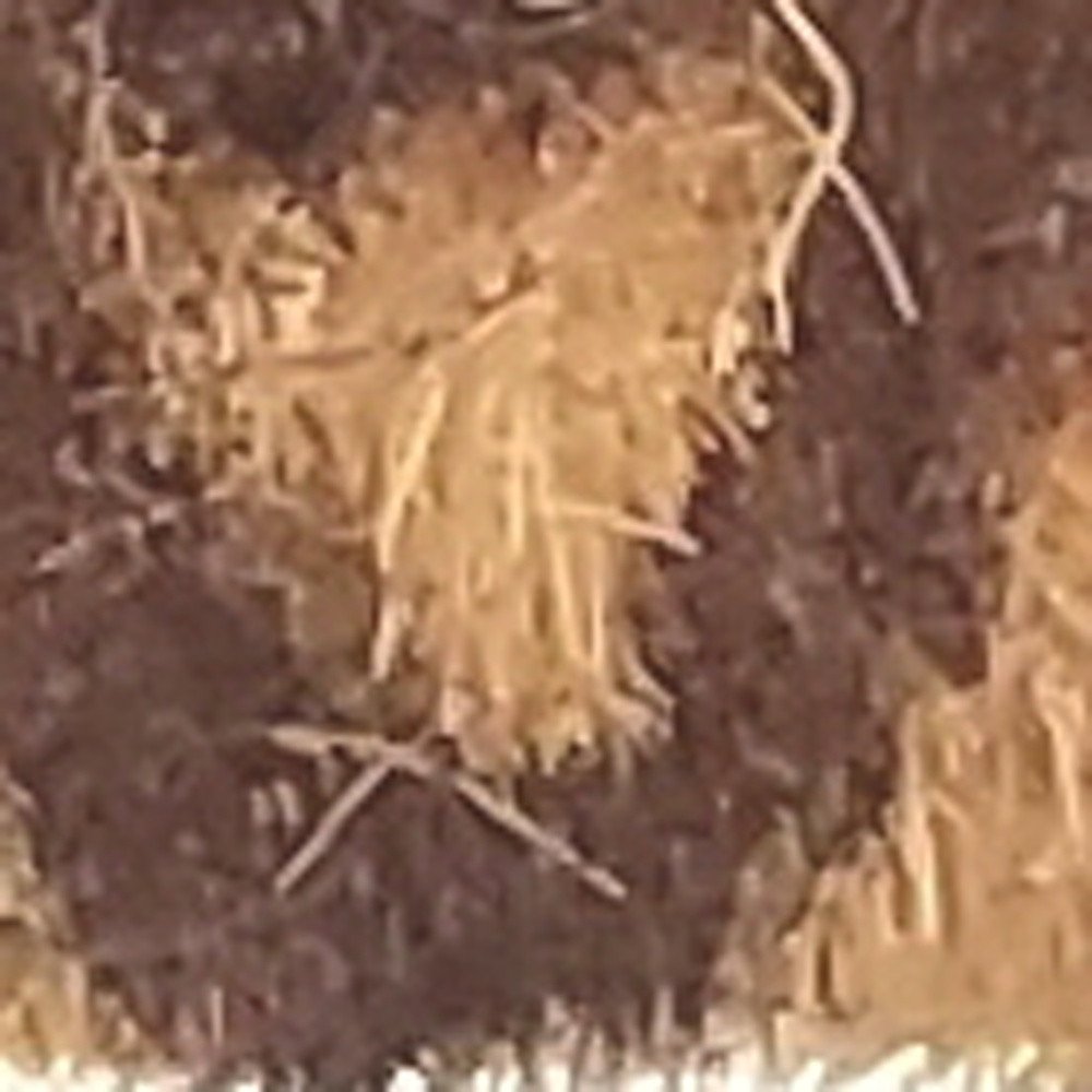 18" X 30" Brown Coir Floral Outdoor Door Mat